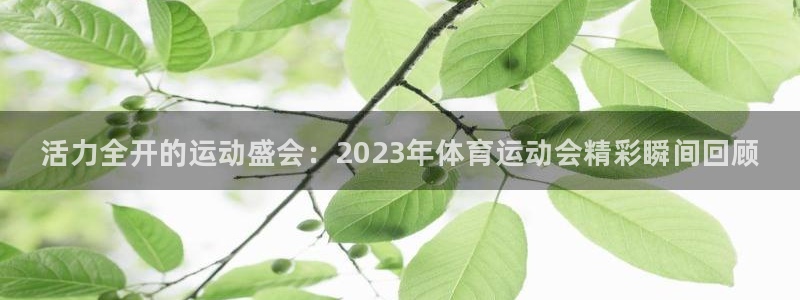 凯发官方正版app代理：活力全开的运动盛会：2023