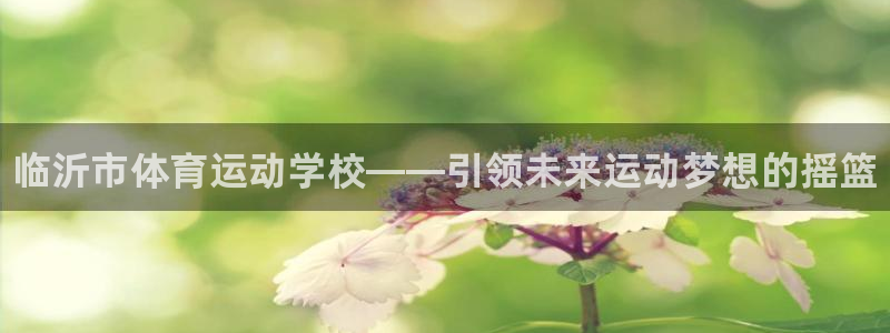 凯发官网下载联系电话：临沂市体育运动学校——引领未来