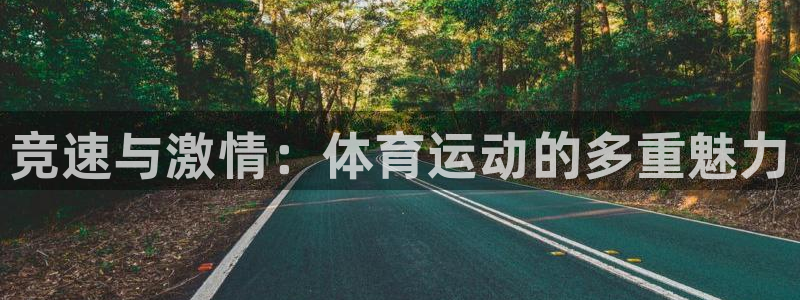 凯发官方正版app代理：竞速与激情：体育运动的多重魅