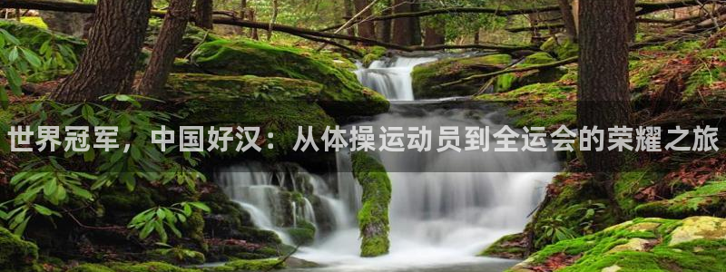 凯发官方正版app开户：世界冠军，中国好汉：从体操运