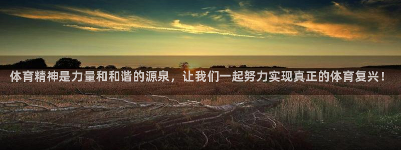 凯发官网下载平台注册要钱吗：体育精神是力量和和谐的源
