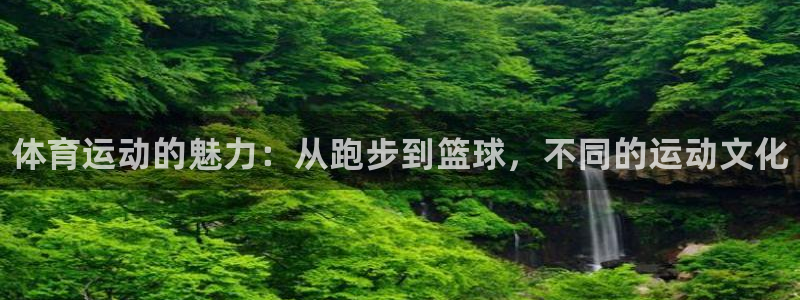 凯发官网下载招商电话号码是多少号：体育运动的魅力：从