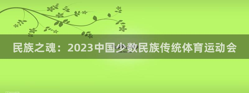 凯发官网下载平台注册流程视频：民族之魂：2023中国