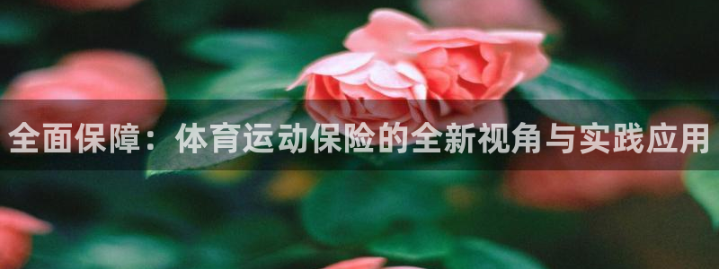 凯发官方正版app集团：全面保障：体育运动保险的全新视角与实