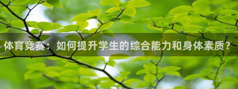 注册凯发官方正版app：体育竞赛：如何提升学生的综合能力和身