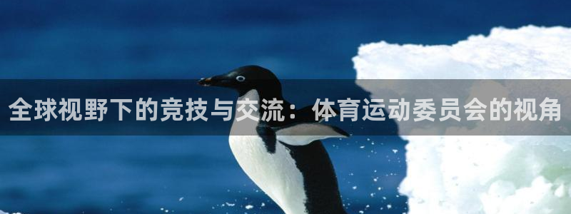 凯发官方正版app官网：全球视野下的竞技与交流：体育