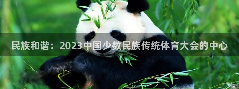 凯发官方集团官网：民族和谐：2023中国少数民族传统体育大会