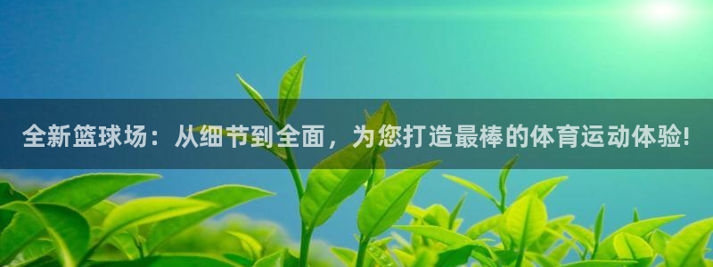 凯发官网下载招商电话地址查询：全新篮球场：从细节到全面，为您