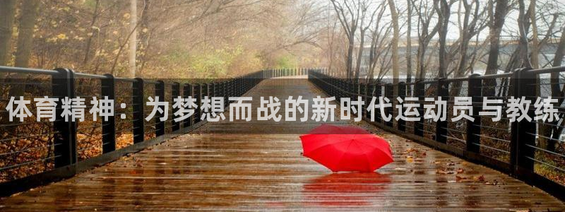 海南凯发官网下载：体育精神：为梦想而战的新时代运动员
