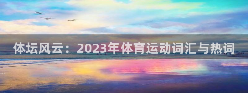 凯发官方正版app娱乐首页网站大全：体坛风云：202