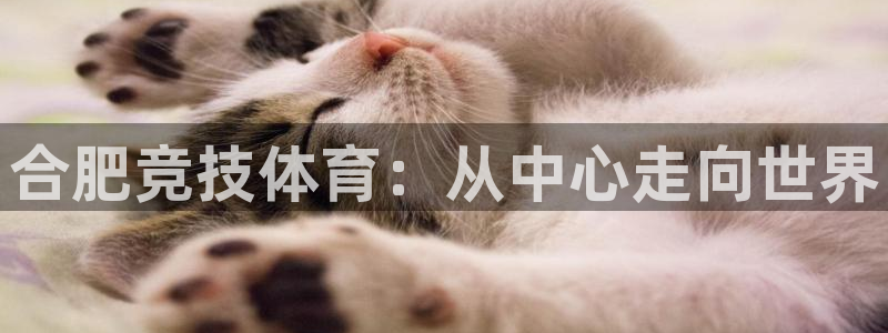 凯发官方正版app神州：合肥竞技体育：从中心走向世界