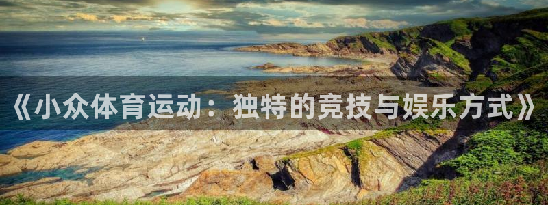 凯发官方正版app娱乐首页网站大全：《小众体育运动：