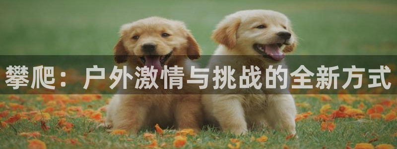 凯发官方正版app娱乐是那个系列的台子：攀爬：户外激
