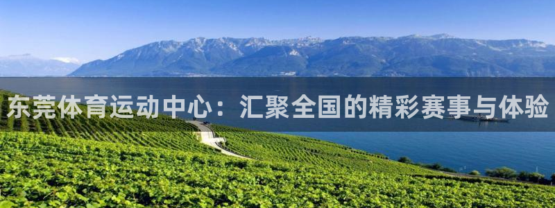 凯发官方正版app五金厂：东莞体育运动中心：汇聚全国
