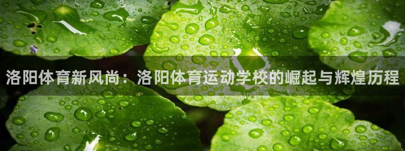 凯发官方正版app官方：洛阳体育新风尚：洛阳体育运动
