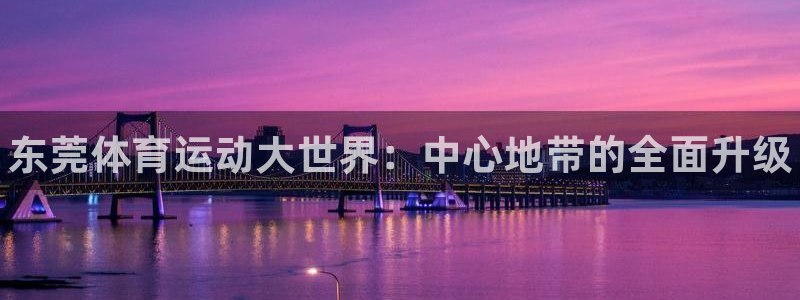 凯发官方正版app娱乐网站：东莞体育运动大世界：中心