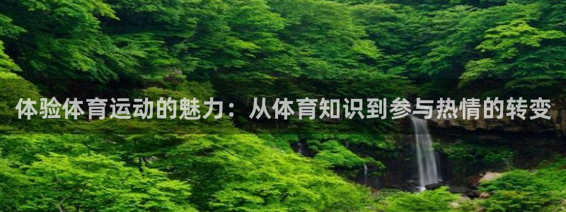 凯发官方正版app科技：体验体育运动的魅力：从体育知