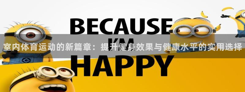 凯发官方正版app娱乐40996：室内体育运动的新篇