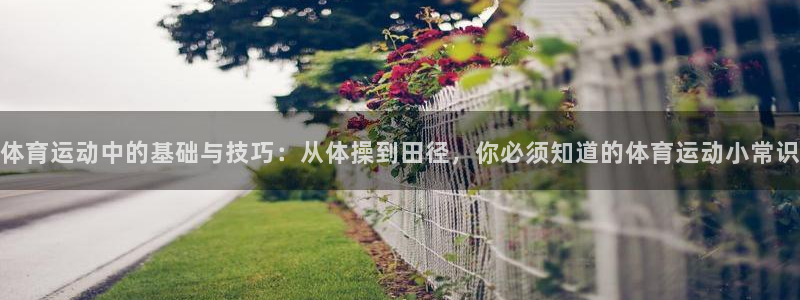 凯发官网下载招商电话地址：体育运动中的基础与技巧：从