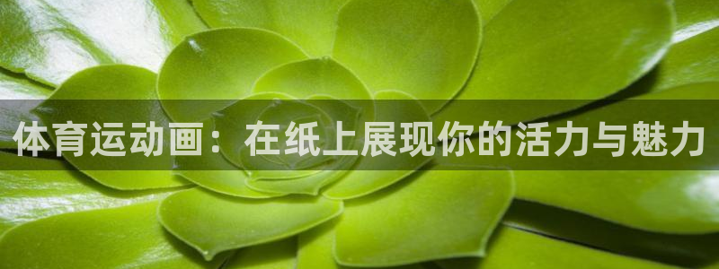 凯发官网下载招商电话号码是多少啊：体育运动画：在纸上