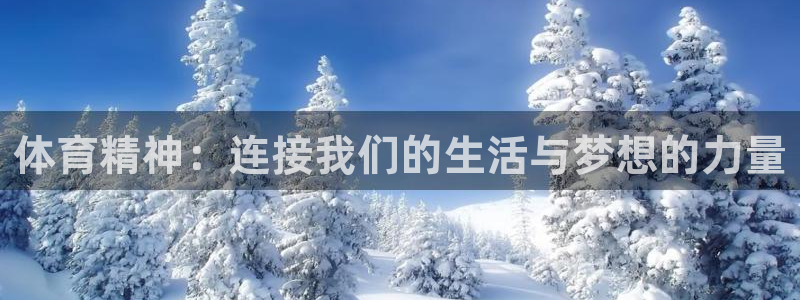 凯发官方正版app集团官网首页：体育精神：连接我们的