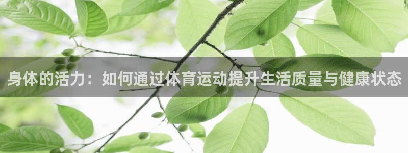 凯发官网下载招商电话：身体的活力：如何通过体育运动提