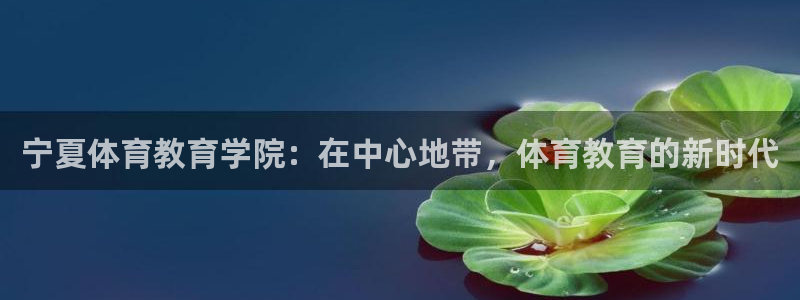 凯发官网下载是干嘛的公司：宁夏体育教育学院：在中心地