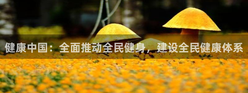 凯发官方正版app娱乐是那个系列的台子：健康中国：全