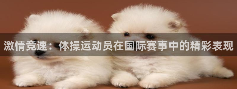 凯发官网下载平台注册流程视频