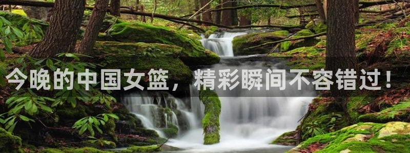 无插件360体育直播