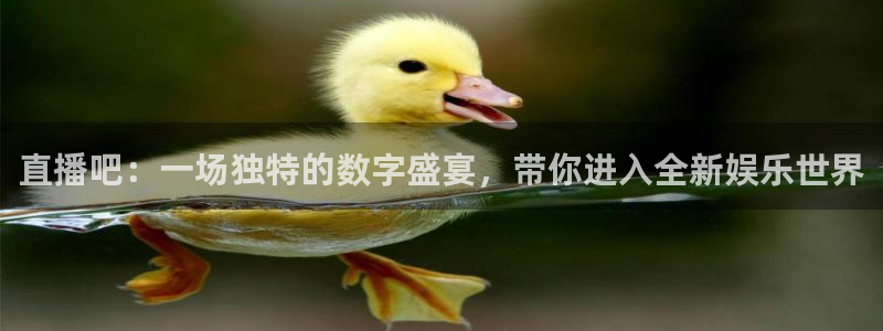 360体育直播观看：直播吧：一场独特的数字盛宴，带你进入全新娱乐世界