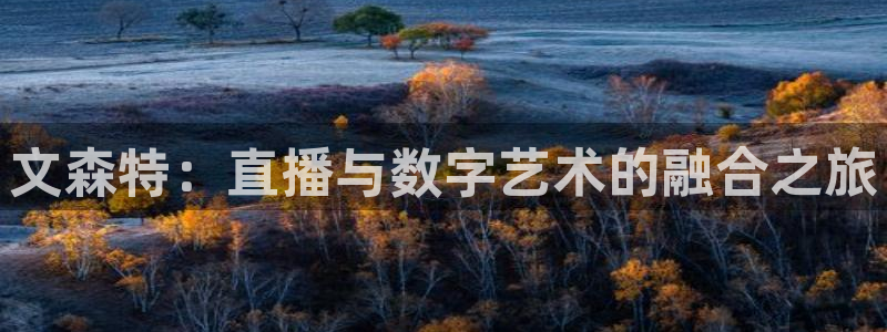 360蓝狐直播：文森特：直播与数字艺术的融合之旅