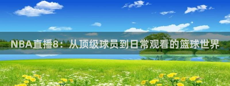 雨燕360体育直播故障解决：NBA直播8：从顶级球员到日常观看的篮球世界