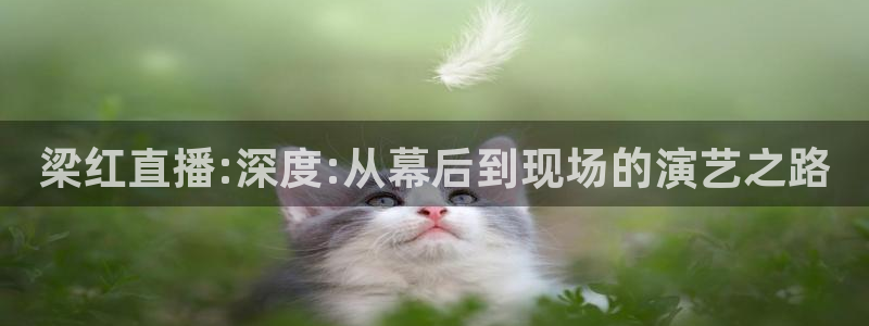 360体育直播足球直播i：梁红直播:深度:从幕后到现场的演艺之路