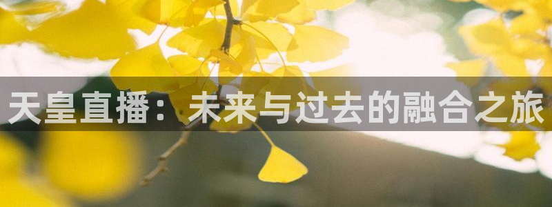 足球360直播：天皇直播：未来与过去的融合之旅