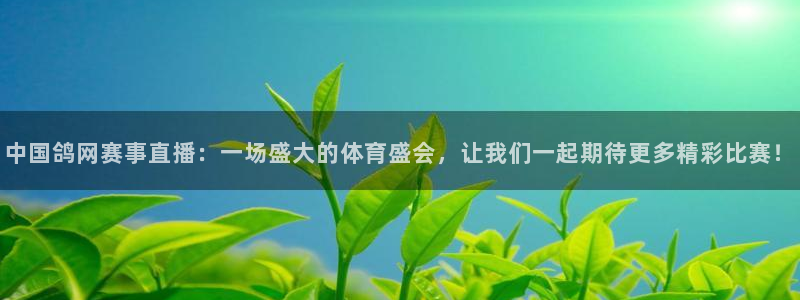360直播在线观看nba：中国鸽网赛事直播：一场盛大的体育盛会，让我们一起期待更多精彩比赛！