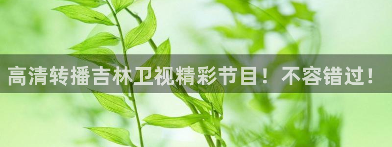 雨燕360体育免费直播：高清转播吉林卫视精彩节目！不容错过！