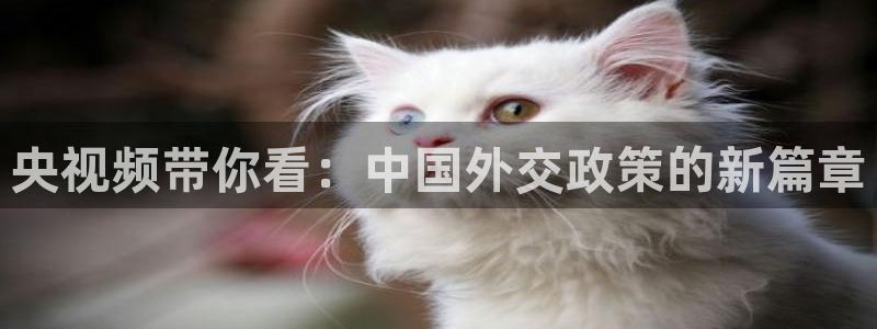 直播360com：央视频带你看：中国外交政策的新篇章