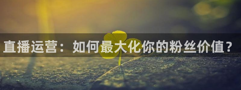 自由杯直播360：直播运营：如何最大化你的粉丝价值？